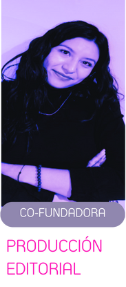 pagina web Netas Violentyas (18)